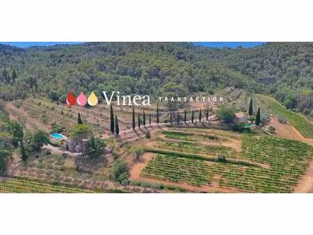 vignoble lorgues (83)