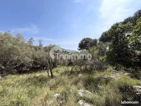 terrain 1077 m² drap