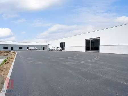 bien professionnel à louer à wichelen € 2.950 (lq5i4) | zimmo