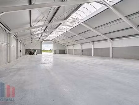 bien professionnel à louer à wichelen € 5.500 (lq5i2) | zimmo