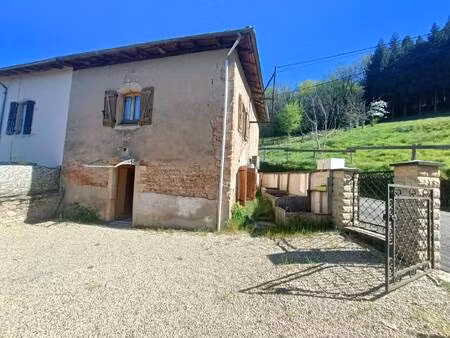 sarl immobiliere du sornin