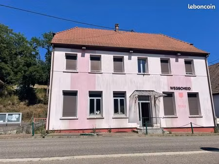 immeuble 250 m² wegscheid