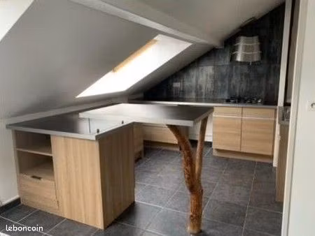 t2 de 50 m² avec terrasse de 15 m²  cave – disponible mi-août