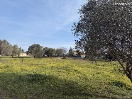terrain 692 m² roquebrune sur argens