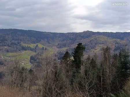 recherche cabane/terrain forestier - vosges