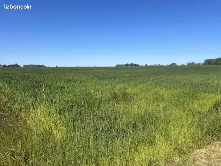 terrain 603 m² verrieres