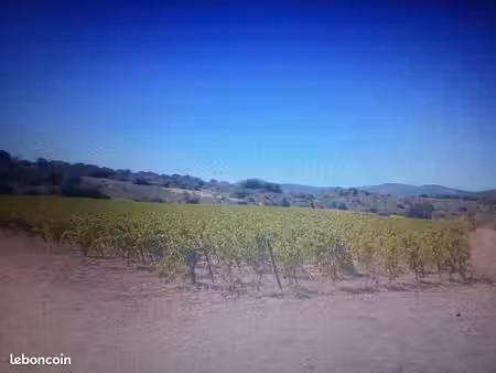 1 3 hectares viticole a caves  place pour pied a terre