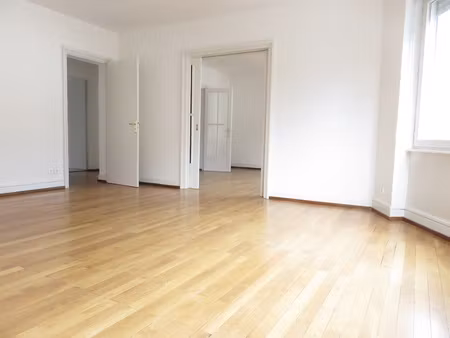 grand f4 rénové de 104 m2 avec terrasse  cave et jardin comm