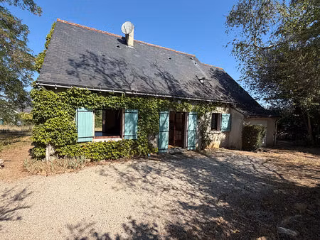 chinon pavillon familial avec jardin de 1 221 m²