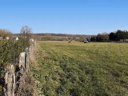 terrain recologne
