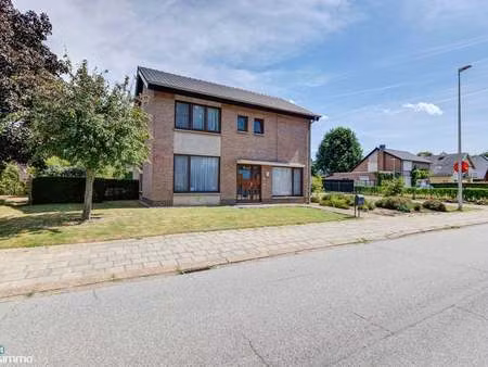 maison à louer à alken € 1.350 (lq5jm) - matisimmo | zimmo