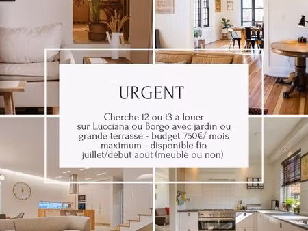 cherche t2/t3 à louer lucciana - borgo