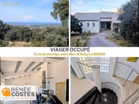 propriété en viager 5 pièces 273 m²