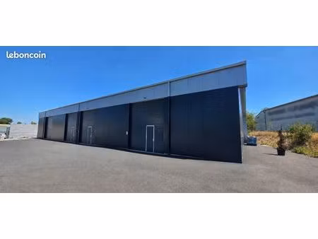 local professionnel 300m²