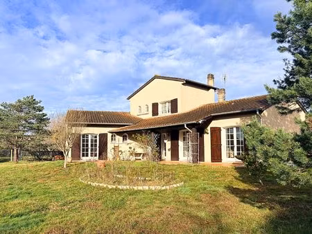 maison à louer castres