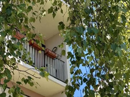 appartement 3 pièces à schiltigheim