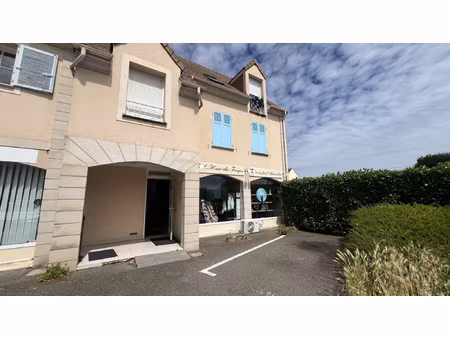 fonds de commerce 71m2 avec 4 parkings et jardin
