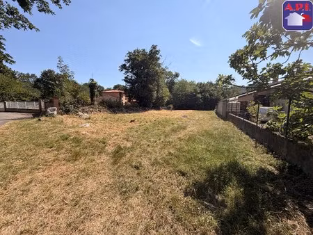 terrain