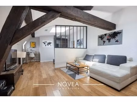 magnifique loft climatisé  lyon 1 opéra