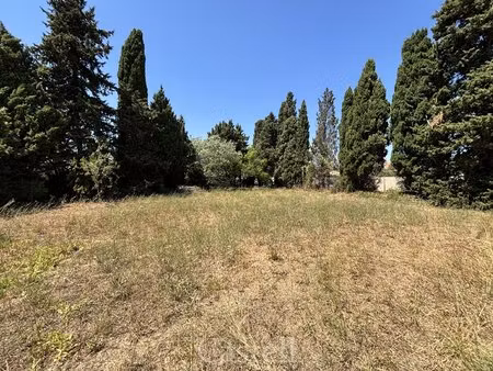 terrain