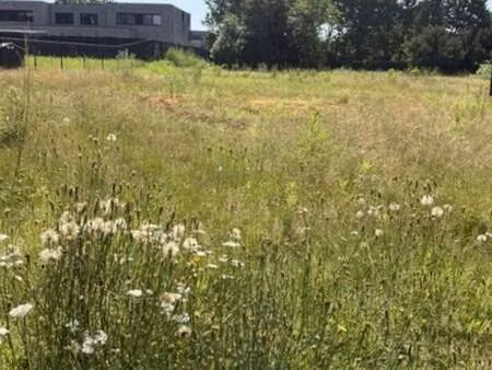terrain à vendre à heusden € 150.000 (lq56h) - bo & mie | zimmo