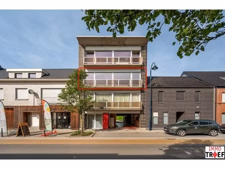 appartement te huur in lebbeke met 2 slaapkamers