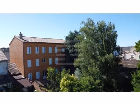 achat immeuble 525m² gaillac 81600