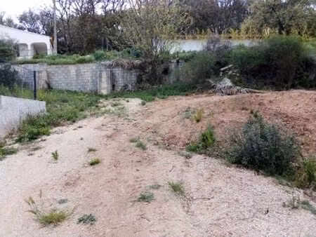 terrain de 3602 m2 en vente - vidauban  provence-alpes-côte d'azur