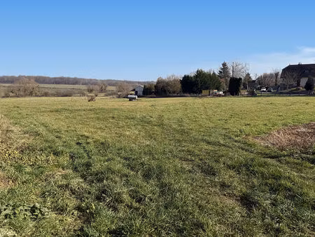 terrain recologne