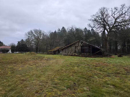vente terrain  2383.00m²  saint