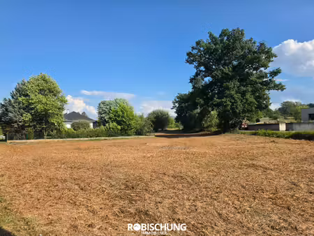 achat terrain 1 121m² hausgauen 68130