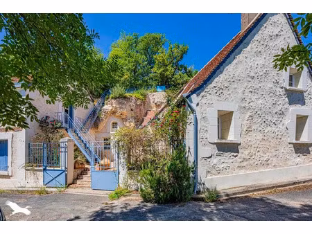 vente maison 8 pièces 167 m² à lussault-sur-loire (37400)  296 520 €