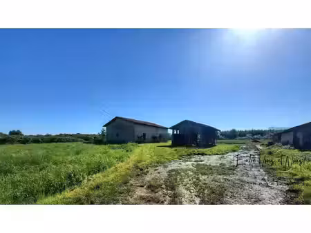 propriete agricole avec 10.7ha