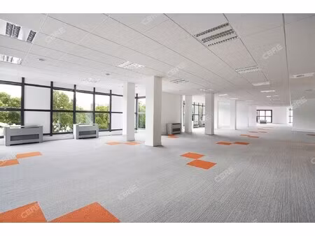 location local professionnel 1 154m²