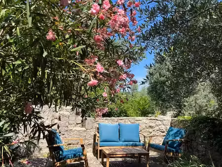 vente maison 3 pièces 66 m² sauve (30610)