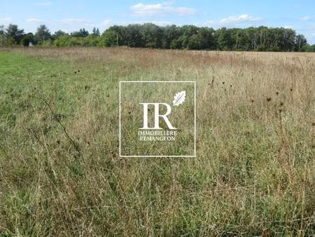 achat terrain 1 000m² chaumont sur tharonne 41600