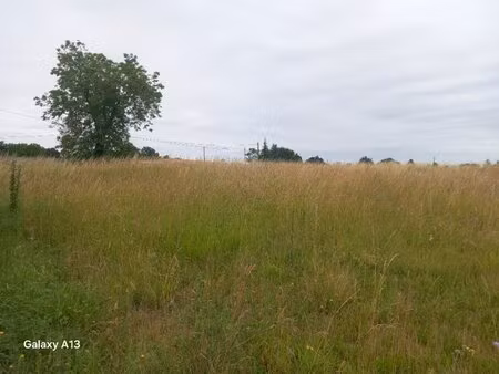 terrain à bâtir à champagnac (17500)