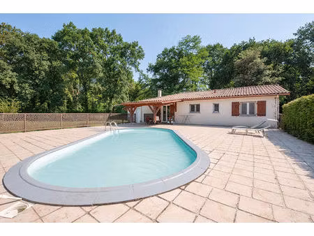 propriété équestre maison + 10 box