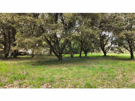 achat terrain 2 310m² st hilaire de riez 85270