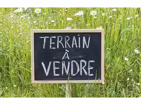 terrain agricole
