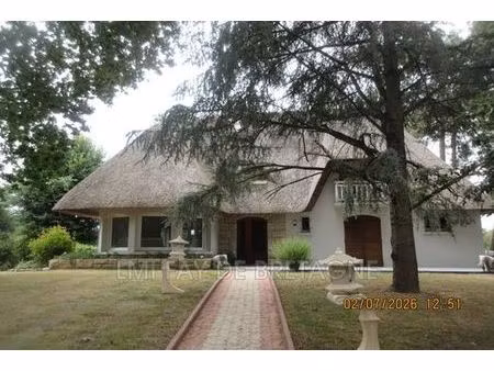 villa de luxe de 8 pièces en vente saint-nicolas-de-redon  france