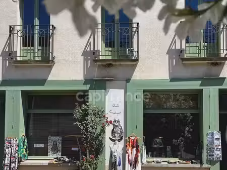 "chat"-oyante maison d'hôtes  10 pièces  8 chambres  avec jardin clos  à quinze minutes de
