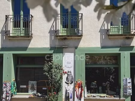 "chat"-oyante maison d'hôtes  10 pièces  8 chambres  avec jardin clos  à quinze minutes de