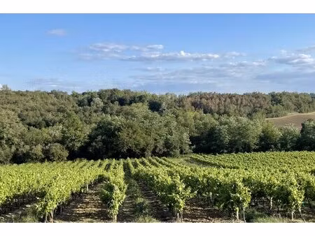 vignoble aoc armagnac et côtes de gascogne