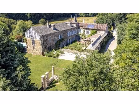 maison en pierres  300m2  au calme  commerces à pied/velo  2ha  30 min. d'albi