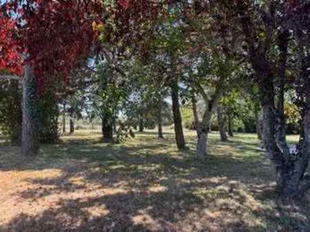 vente terrain à moisdon-la-rivière (44520) : à vendre / 1300m² moisdon-la-rivière