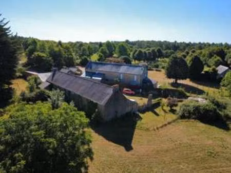 vente maison à brech (56400) : à vendre / 370m² brech
