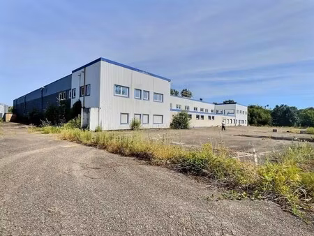 vente entrepôt betting 57800 6778m²
