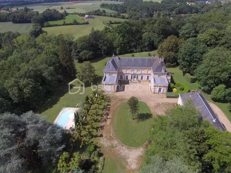 château à vendre à jazeneuil
