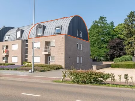 appartement à louer à heusden € 800 (lq5z2) - nancy aerts vastgoed | zimmo